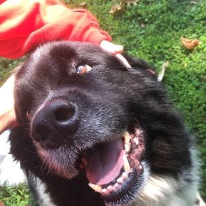 Meet your Posher, Annabella